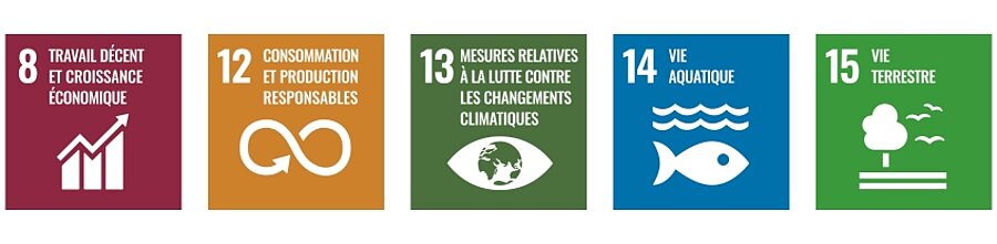 saveur-de-l-annee-monadia-non-engagements-liste-objectif-developpement-durable